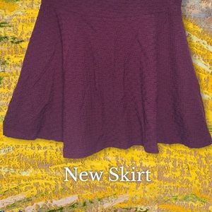 Textured Burgundy Skater Skirt